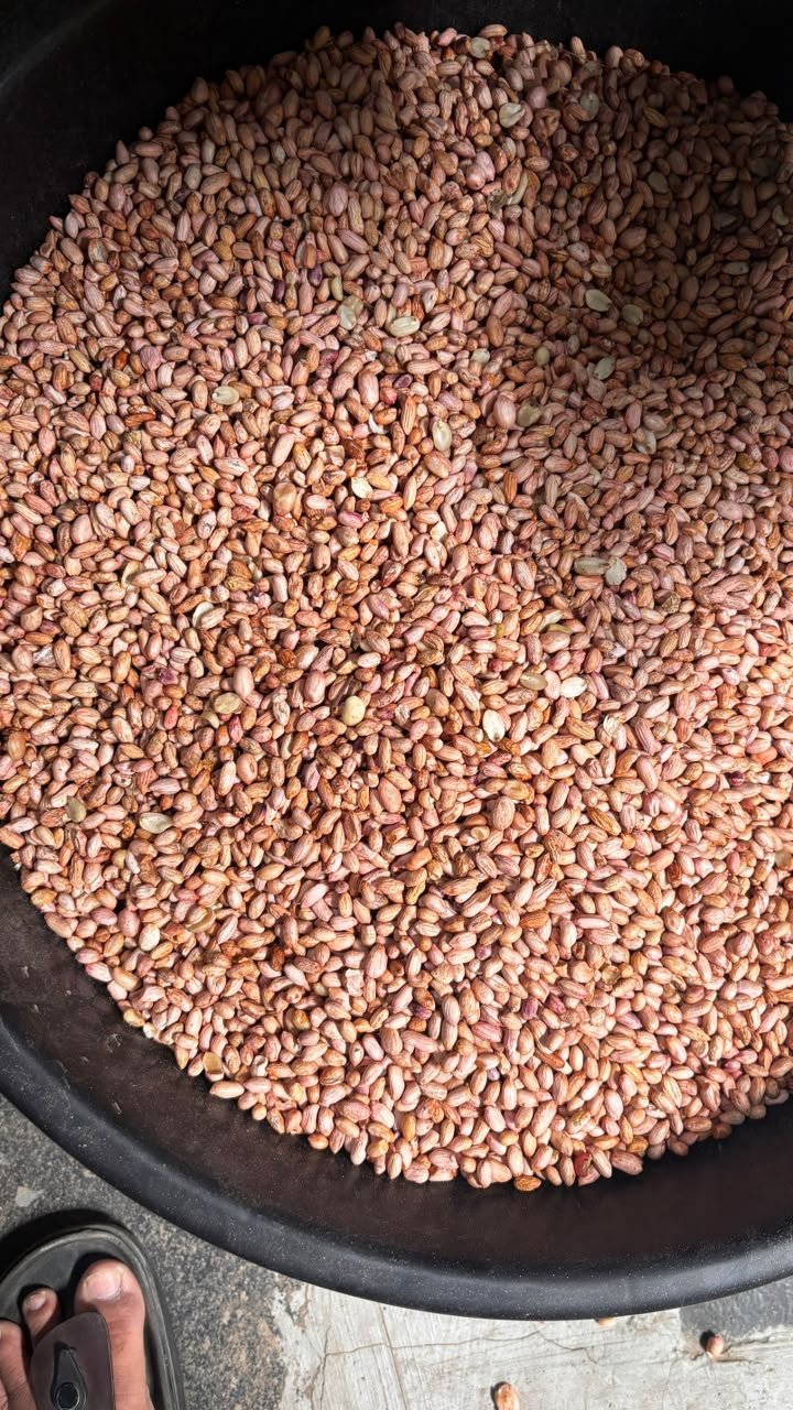 Premium Export Quality Groundnuts