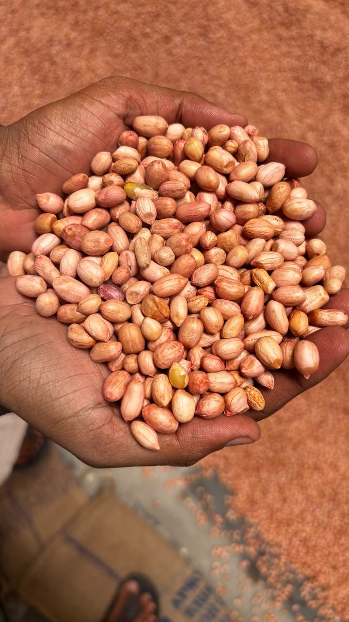 Groundnuts